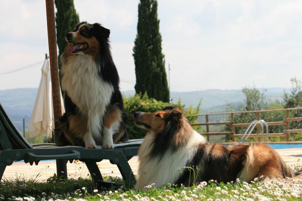 Agriturismo Il Torrione Lecchi Exterior foto